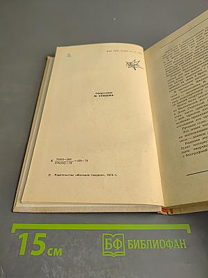 Большими шагами