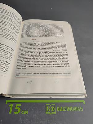 Забота о ребенке