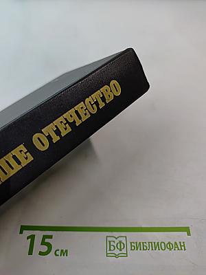 Наше Отечество: Опыт политической истории. Том 2