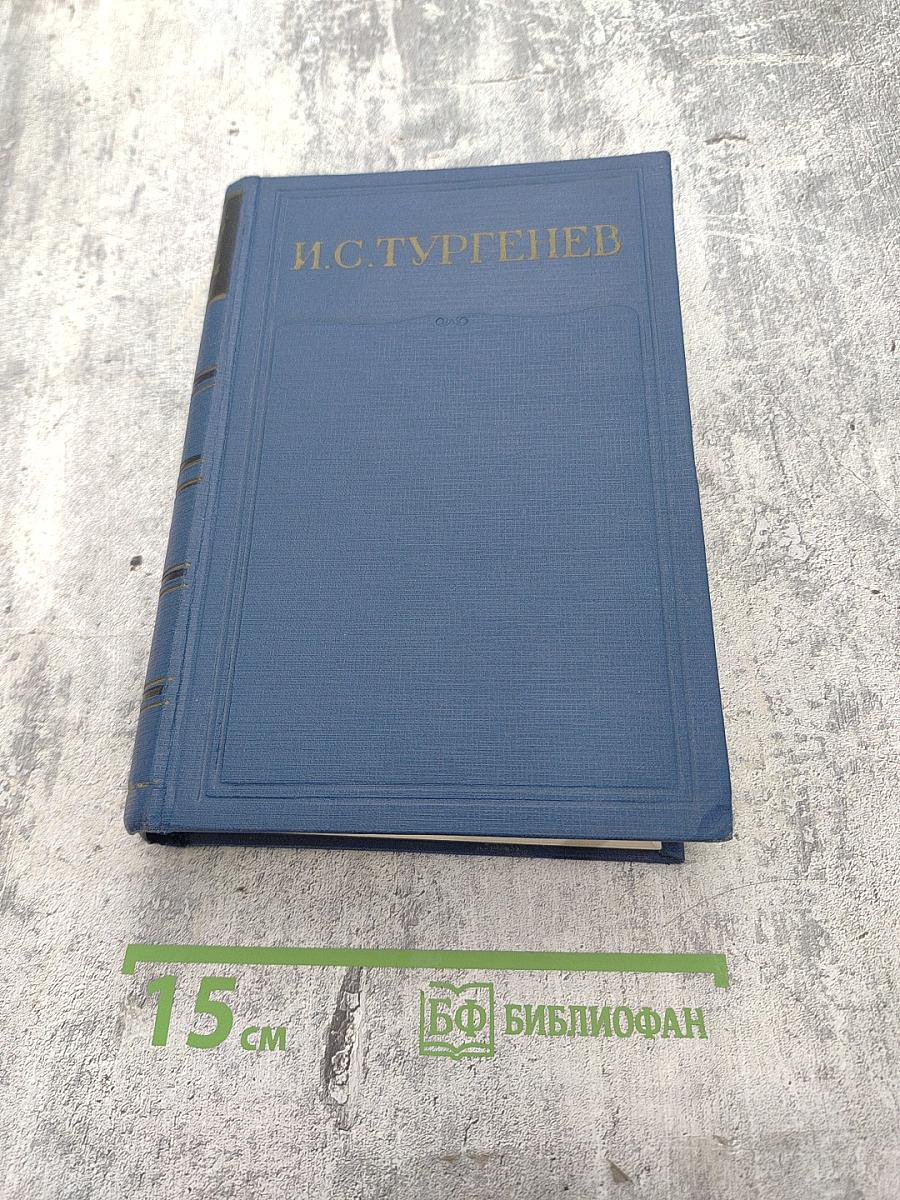 Полное собрание сочинений и писем. Письма. Том четвертый. 1860-1862