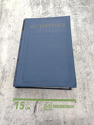 Полное собрание сочинений и писем. Письма. Том четвертый. 1860-1862