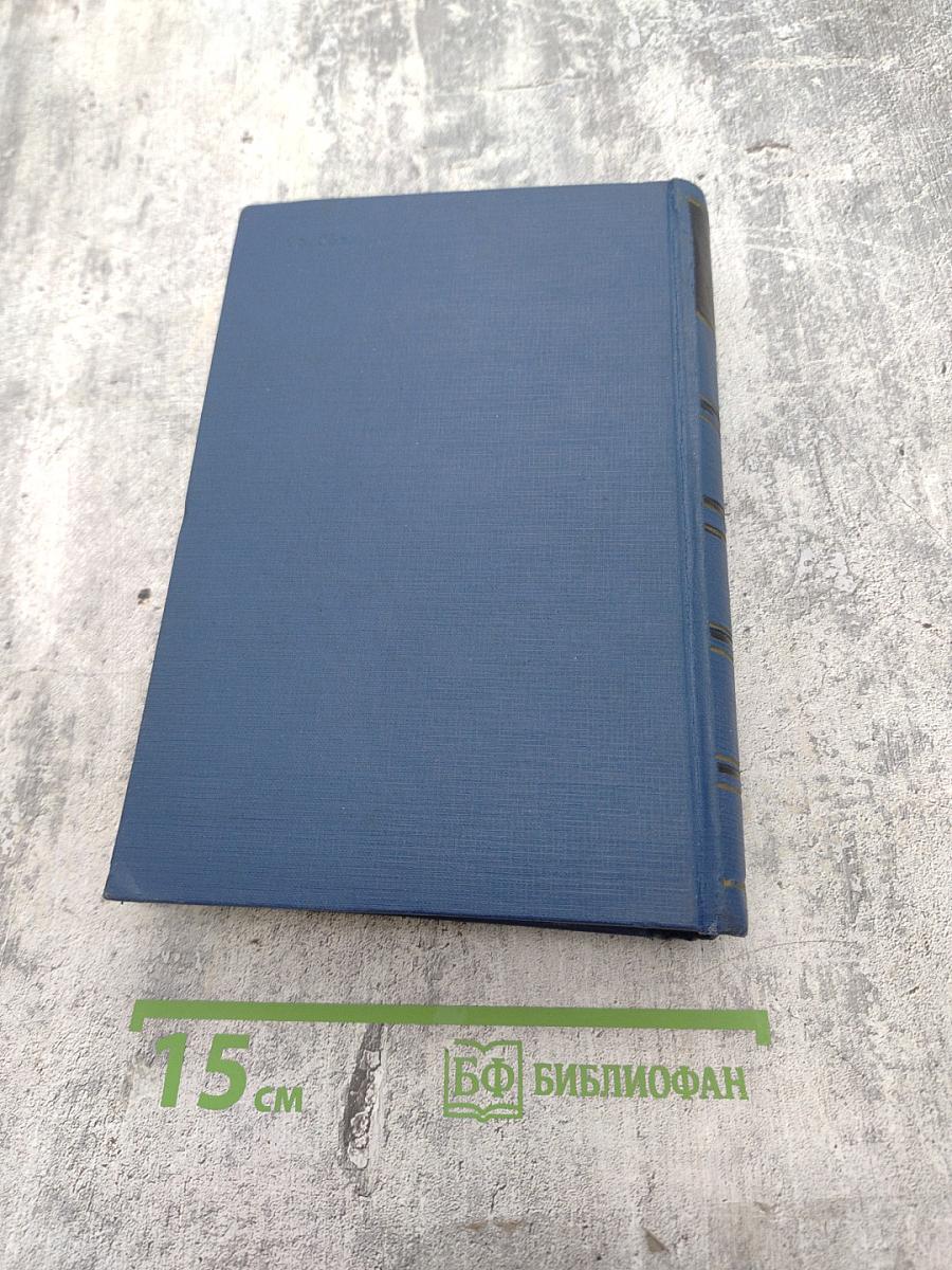 Полное собрание сочинений и писем. Письма. Том четвертый. 1860-1862