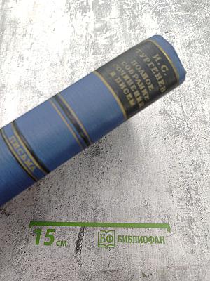 Полное собрание сочинений и писем. Письма. Том четвертый. 1860-1862