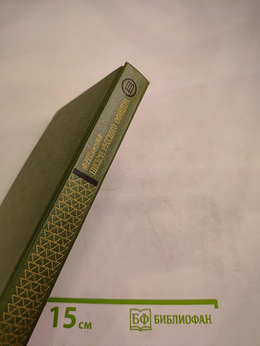 Ф.Н. Глинка. Письма русского офицера