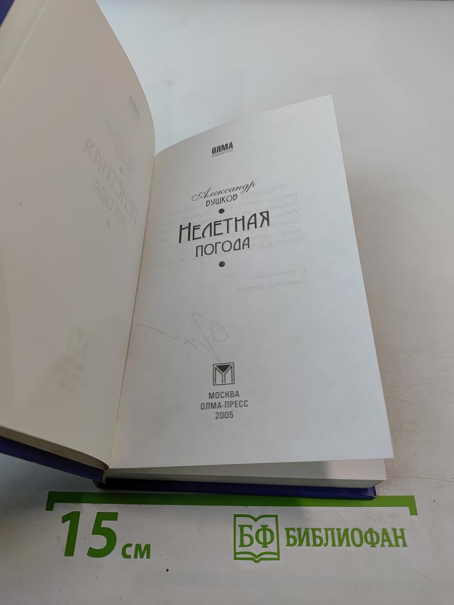 Нелетная погода