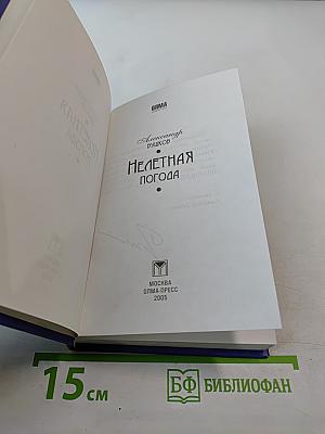 Нелетная погода