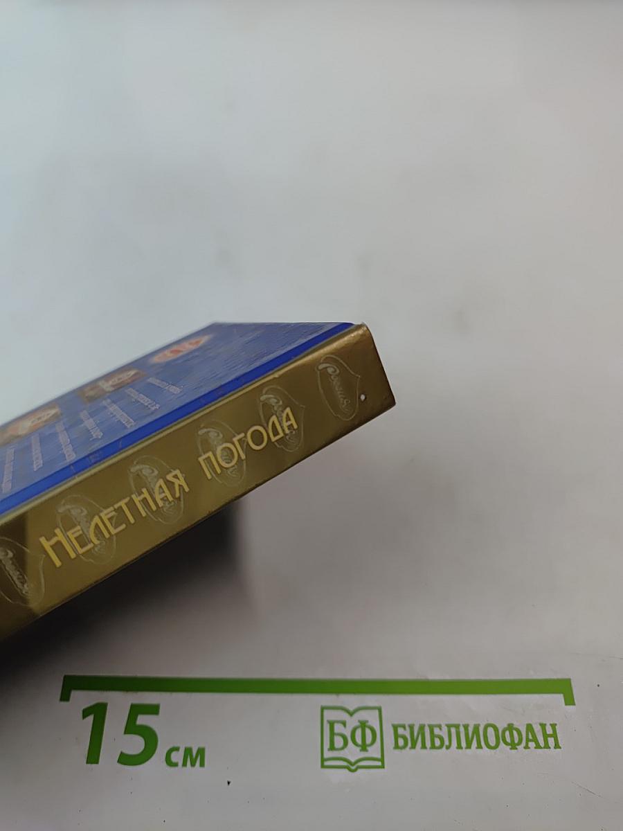 Нелетная погода