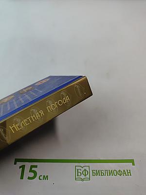 Нелетная погода