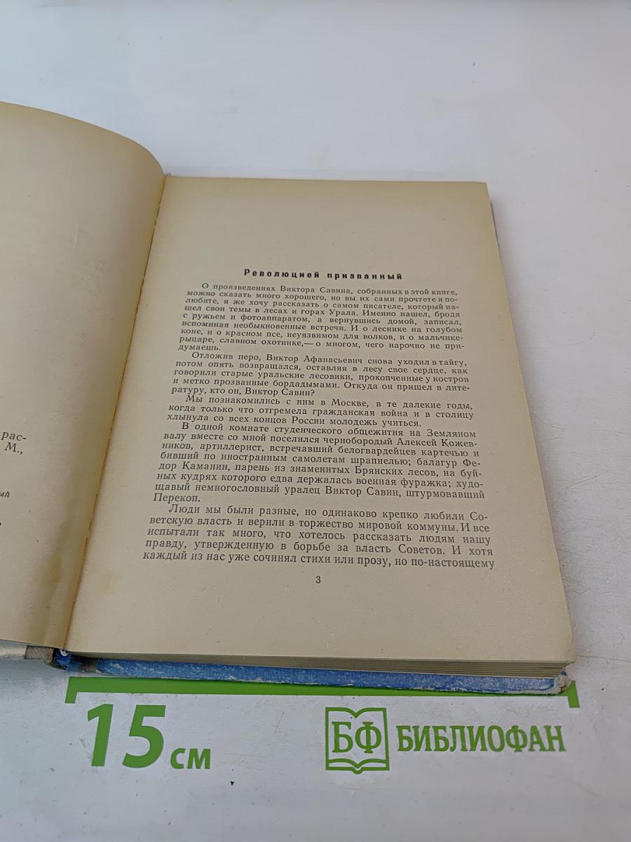 Юванко из Большого Стойбища. Повести и рассказы