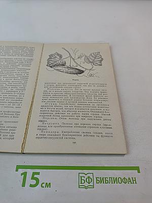 Овощи и плоды в питании