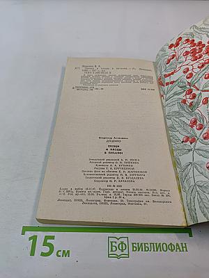 Овощи и плоды в питании