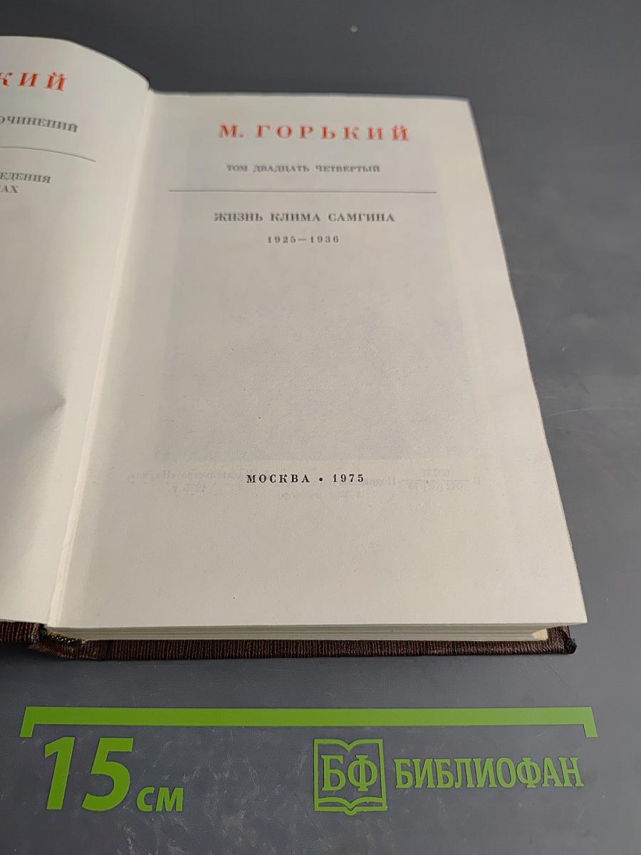 Жизнь Клима Самгина. Том двадцать четвертый