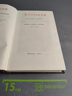 Жизнь Клима Самгина. Том двадцать четвертый