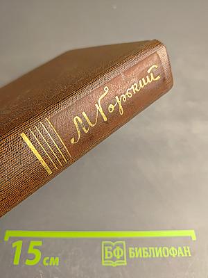 Жизнь Клима Самгина. Том двадцать четвертый