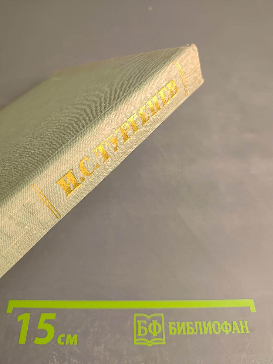 Собрание сочинений. Том восьмой: Повести и рассказы 1870-1882