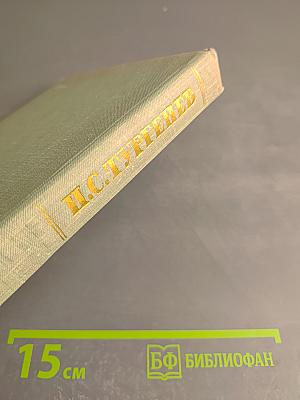 Собрание сочинений. Том восьмой: Повести и рассказы 1870-1882