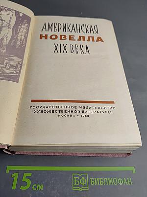 Американская новелла XIX века