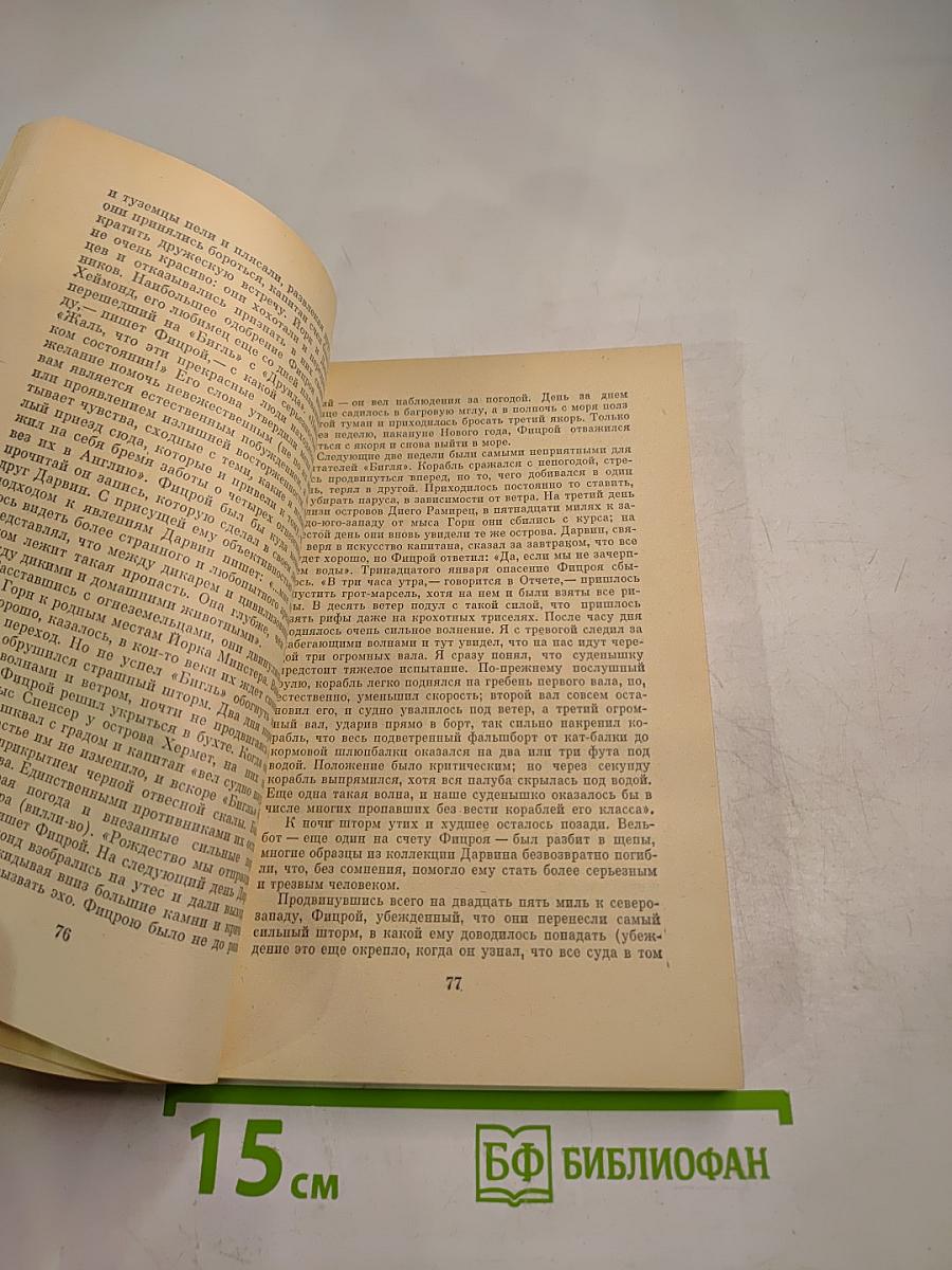 Фитцрой-капитан "Бигля"