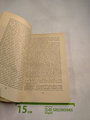 Фитцрой-капитан "Бигля"