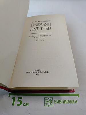 Емельян Пугачев. Книга 3