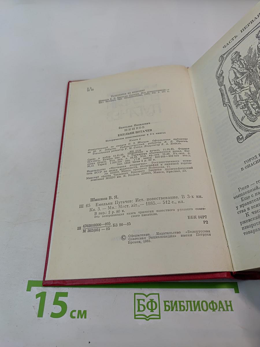Емельян Пугачев. Книга 3