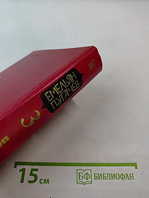 Емельян Пугачев. Книга 3