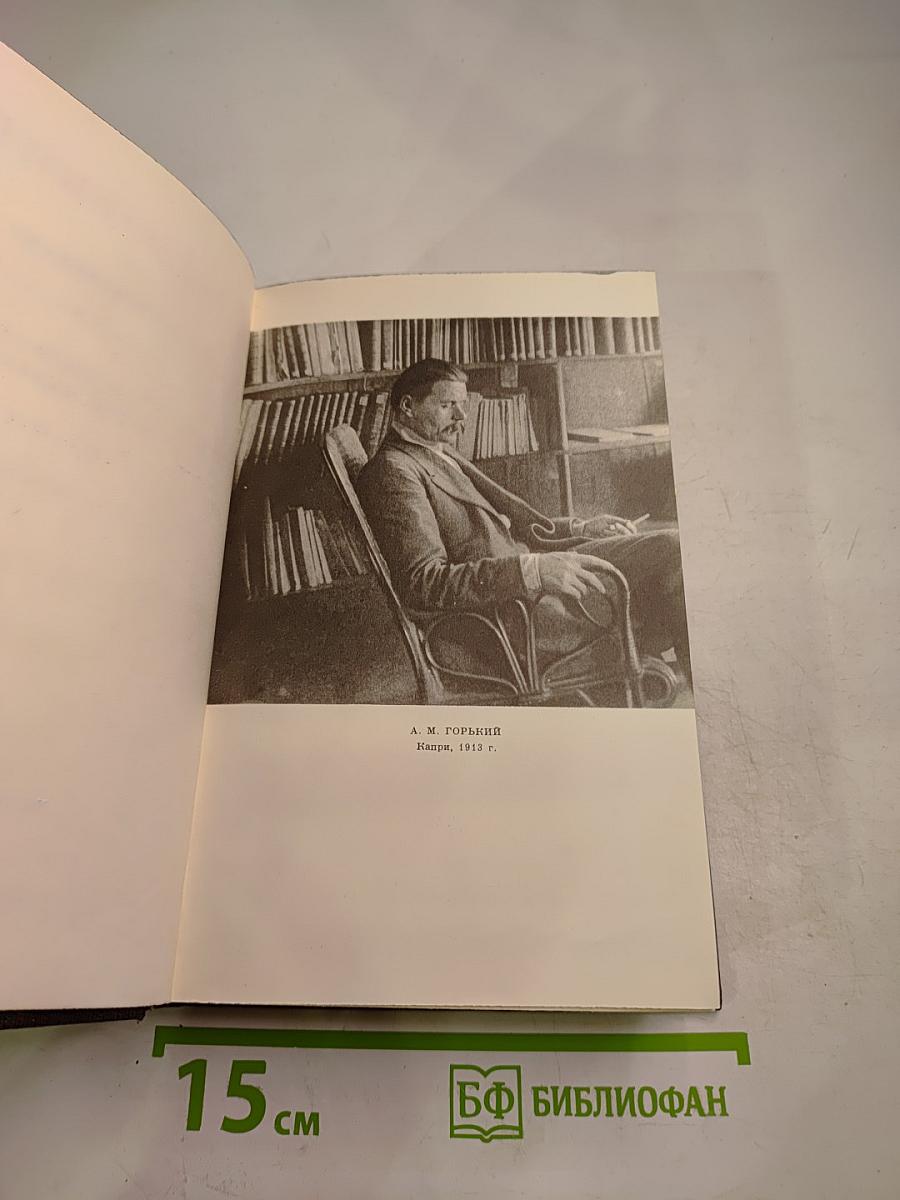 Собрание сочинений. Том четырнадцатый. Повесть. Рассказы. 1912-1917