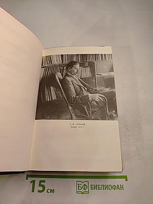 Собрание сочинений. Том четырнадцатый. Повесть. Рассказы. 1912-1917
