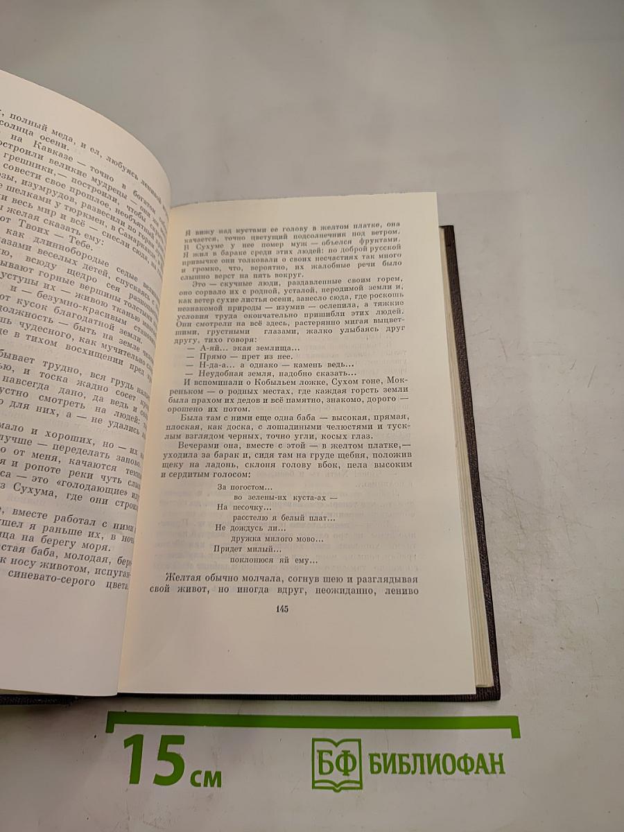 Собрание сочинений. Том четырнадцатый. Повесть. Рассказы. 1912-1917