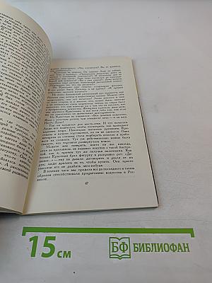 Солнечный бродяга. Повесть