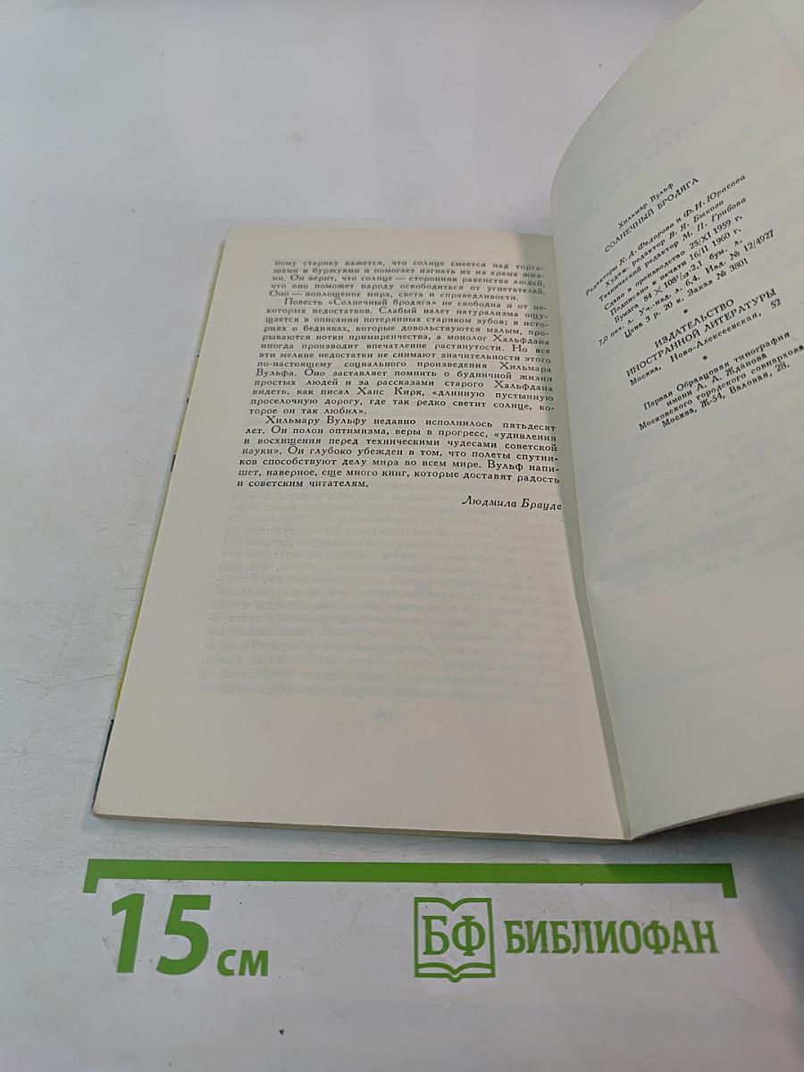 Солнечный бродяга. Повесть