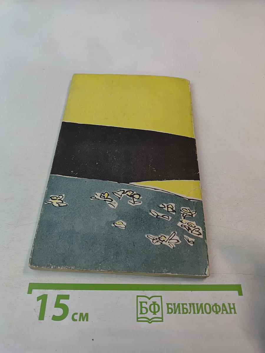 Солнечный бродяга. Повесть