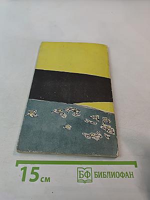 Солнечный бродяга. Повесть