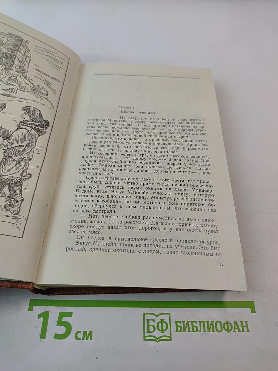 Проклятие могилы викинга. Кэрри в дни войны. Тайна «Альтамаре»