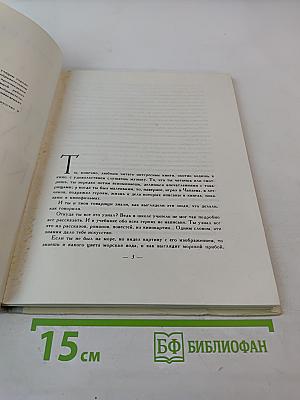 По законам красоты