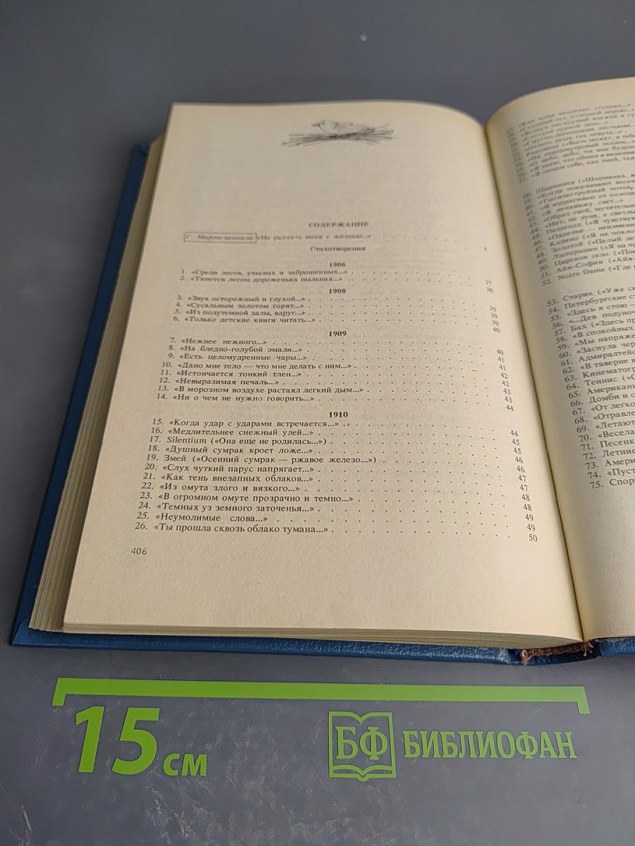 Стихотворения. Переводы. Очерки. Статьи