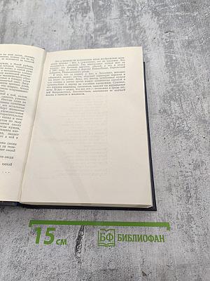 Том 2. Рассказы, стихи. 1895-1896