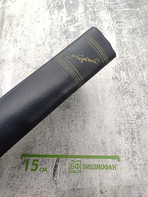 Том 2. Рассказы, стихи. 1895-1896