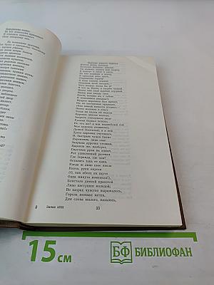 Восточные мотивы. Стихотворения и поэмы