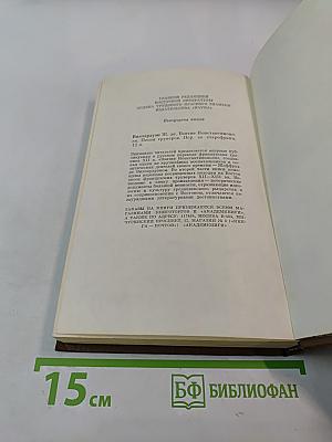 Восточные мотивы. Стихотворения и поэмы