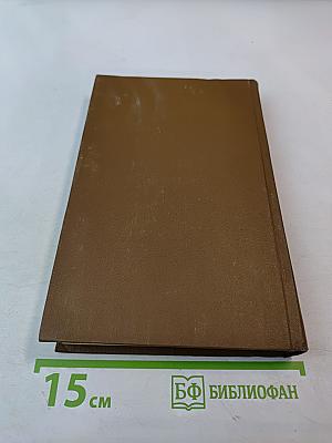 Восточные мотивы. Стихотворения и поэмы