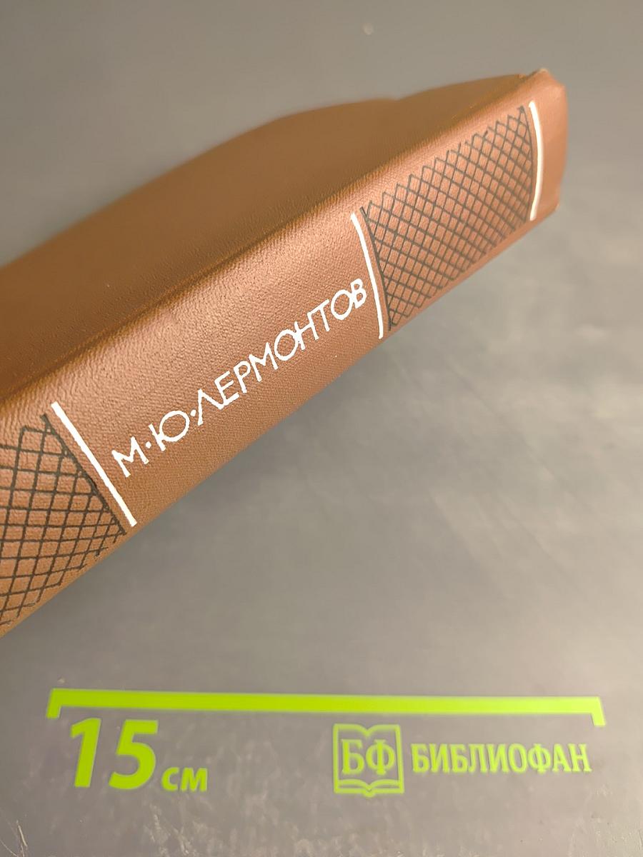 Собрание сочинений. Том второй. Поэмы и повести в стихах