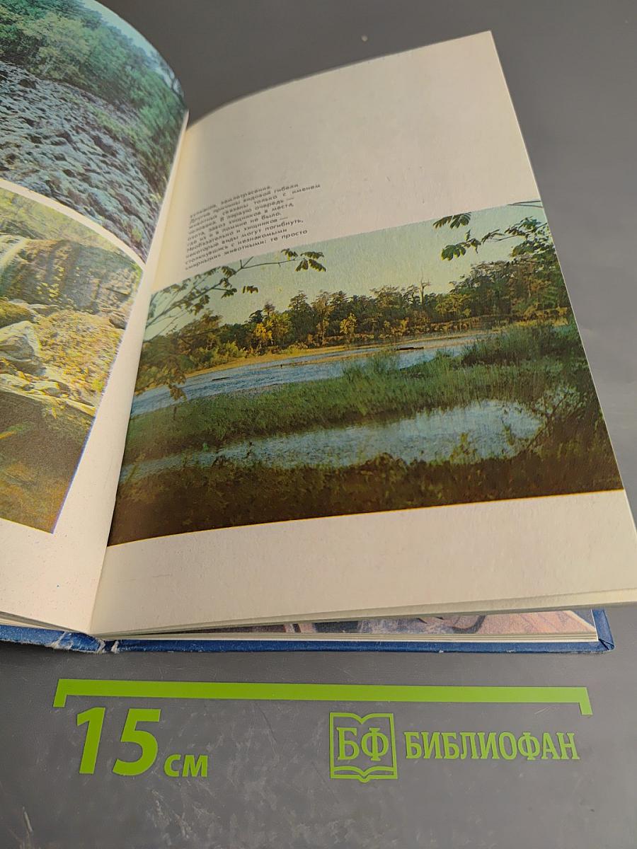 Заповедное Приморье. Природа Дальнего Востока