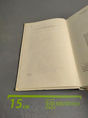 А.С. Пушкин. Избранные произведения. Том второй