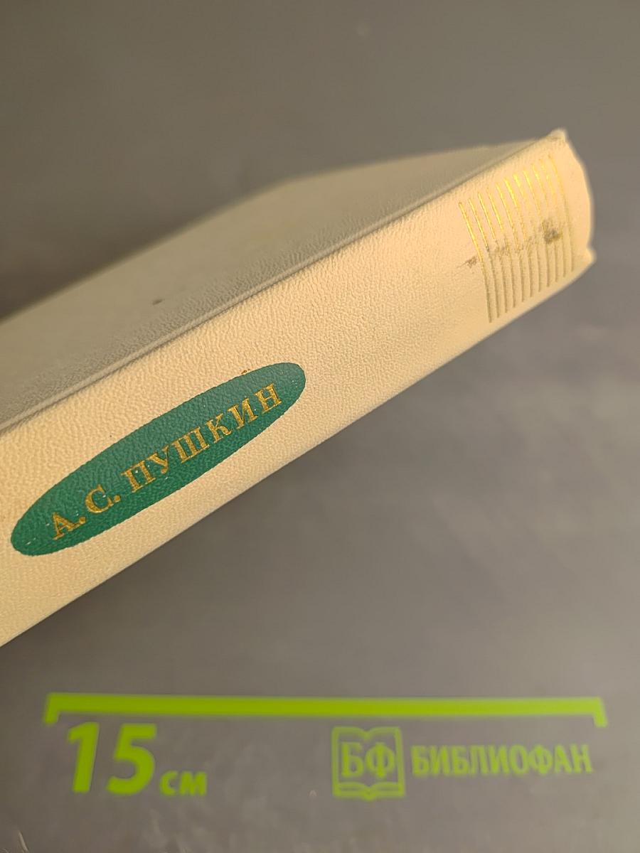 А.С. Пушкин. Избранные произведения. Том второй