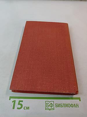 Мы вернемся