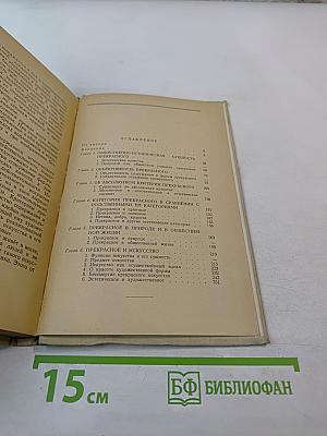 Проблема прекрасного