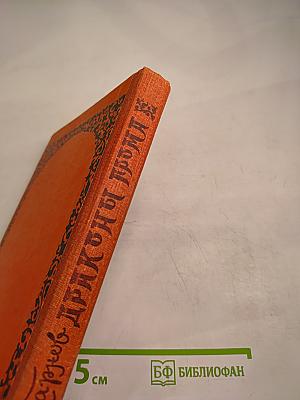 Драконы грома