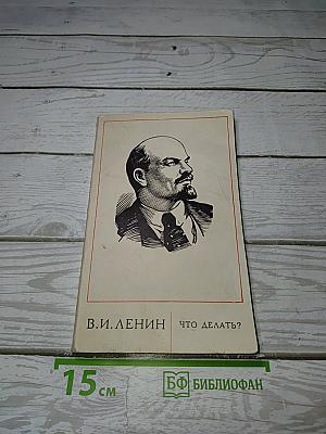 Что делать?