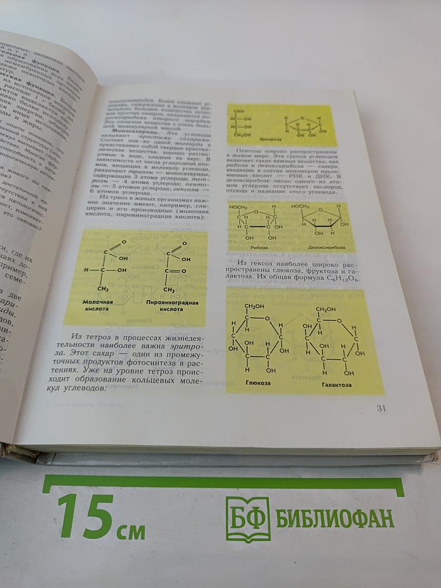 Общая биология: Учебник для 10–11 классов с углубленным изучением биологии